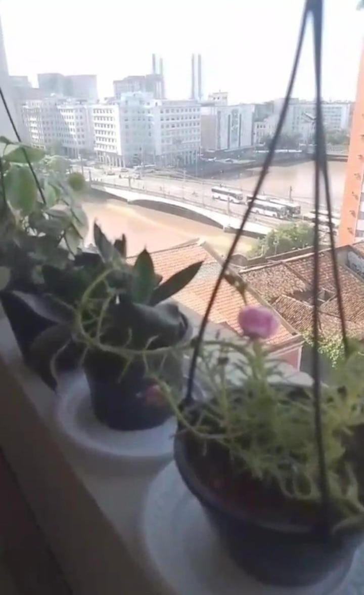 Apartment Na Rua Da Aurora, 1 Quarto, No Coracao Do *